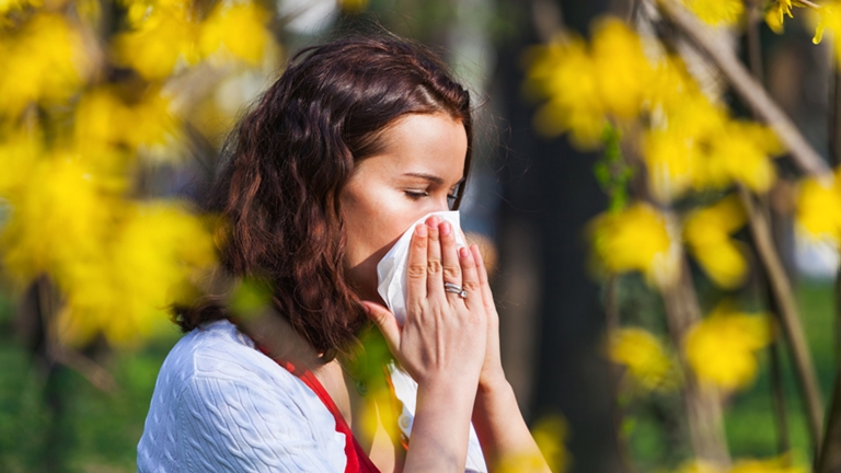 Ezek a legelterjedtebb allergiatípusok