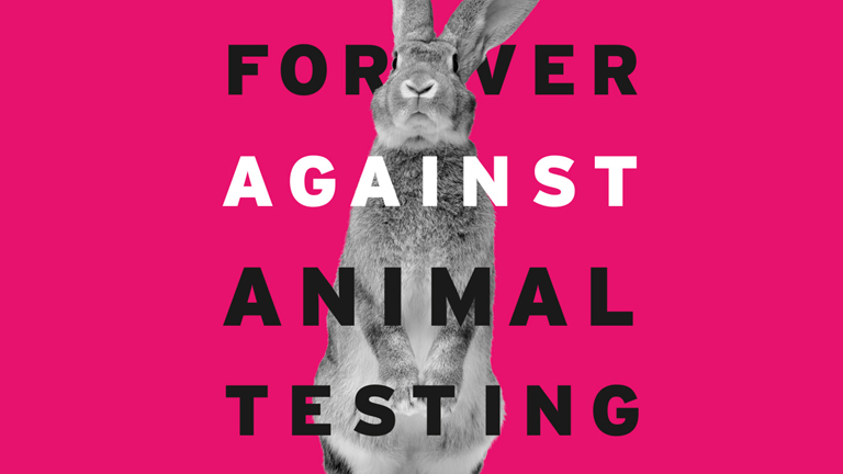 Te is tehetsz az állatkísérletek ellen - írd alá a petíciót!