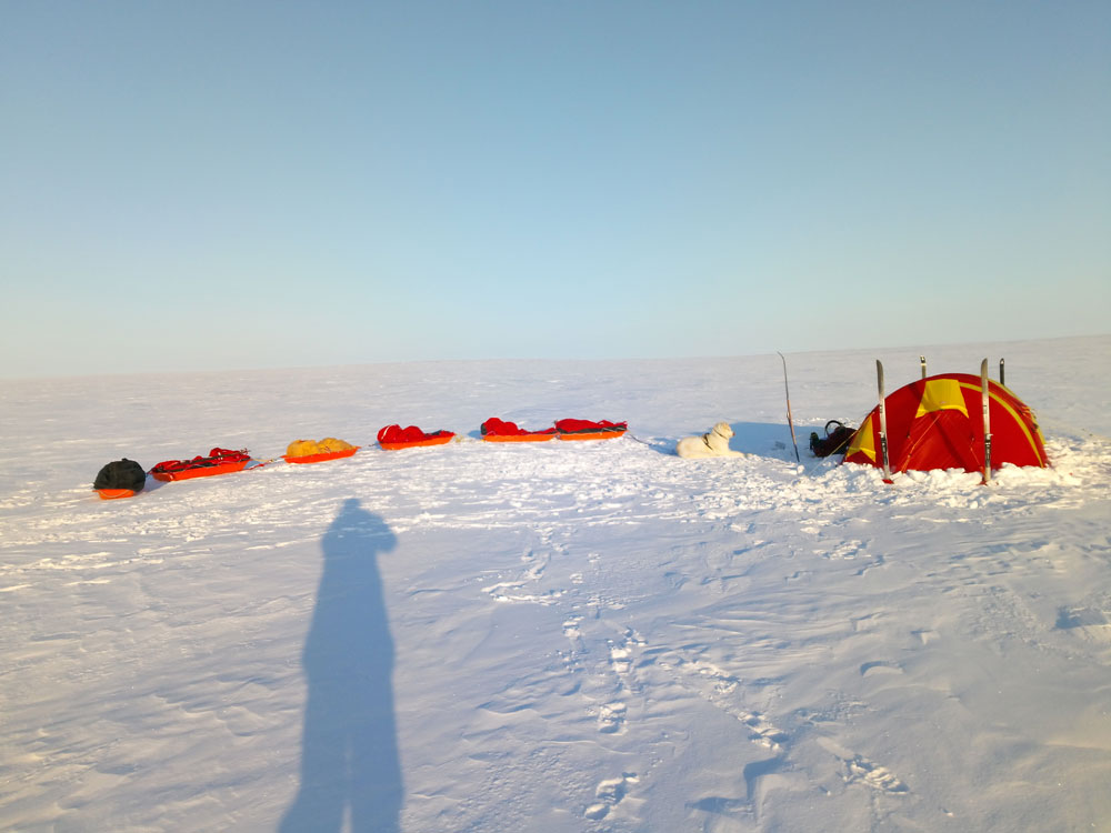 Tábor a végtelen jégmezőn (Fotó: Wynne-Hughes Veronika/www.pingvinek.com)