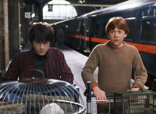Húsz éve jelent meg az első Harry Potter-könyv – és a világ többé nem volt ugyanaz a hely