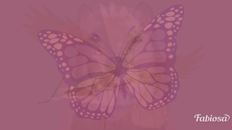 A pillangó a szépséget szimbolizálja