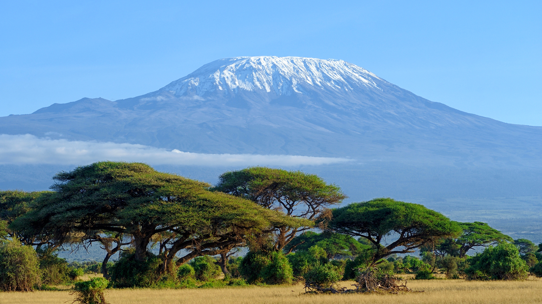 Megmászta a Kilimandzsárót a tüdőátültetett Péter és Krisztián