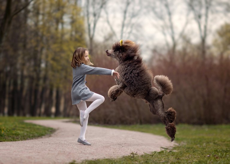 Cukiság: kutyáival együtt balettozik a kislány