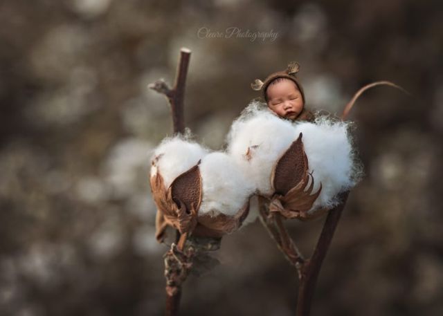 Egy anya csodálatos újszülött fotói az élet csodáját ünneplik