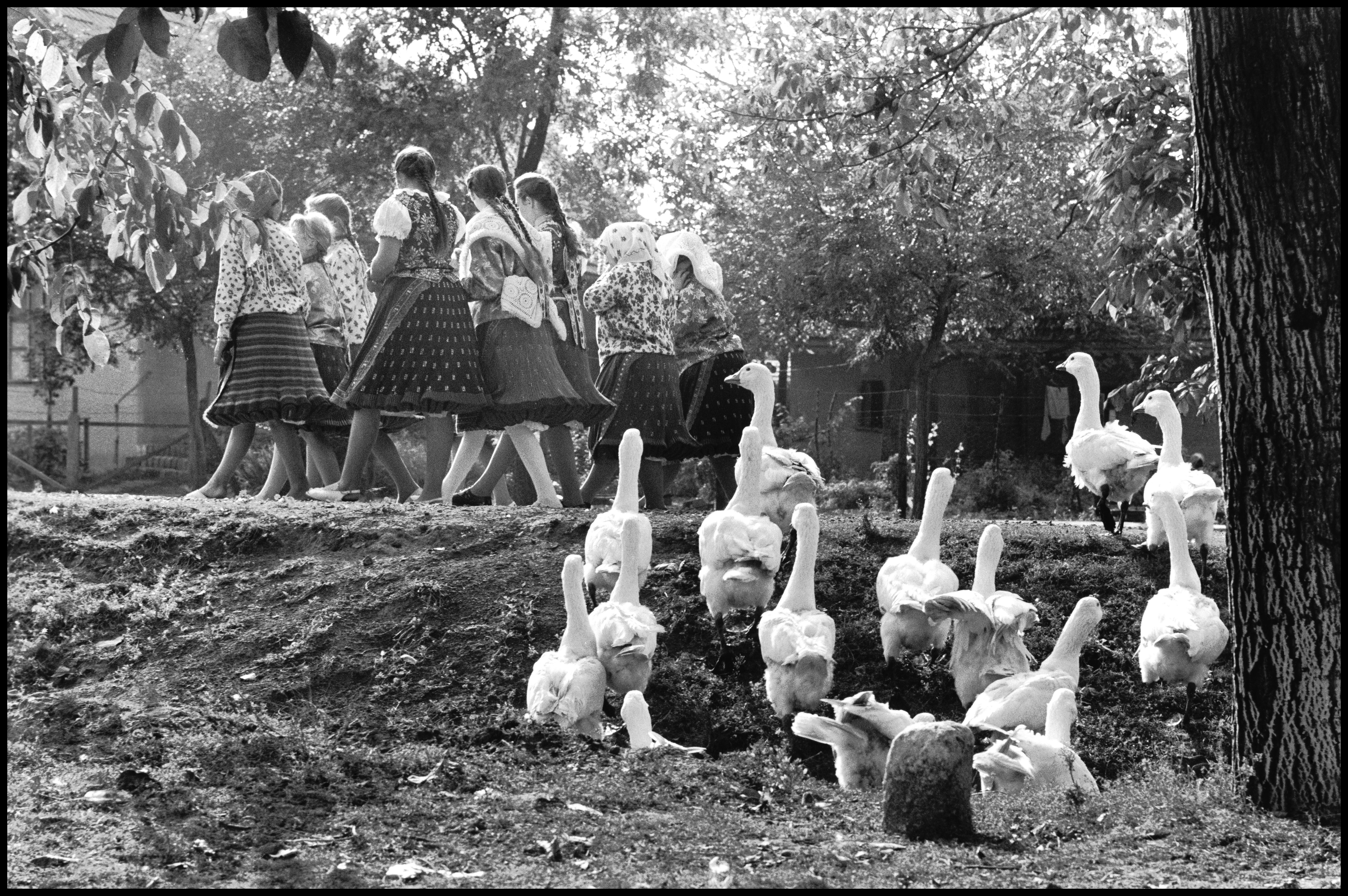 Magyarország, 1964 © Elliott Erwitt  Magnum Photos