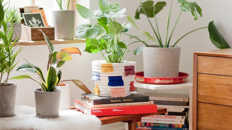 DIY: dobd fel a növényeket egy bohókás, színes-rojtos kaspóval!