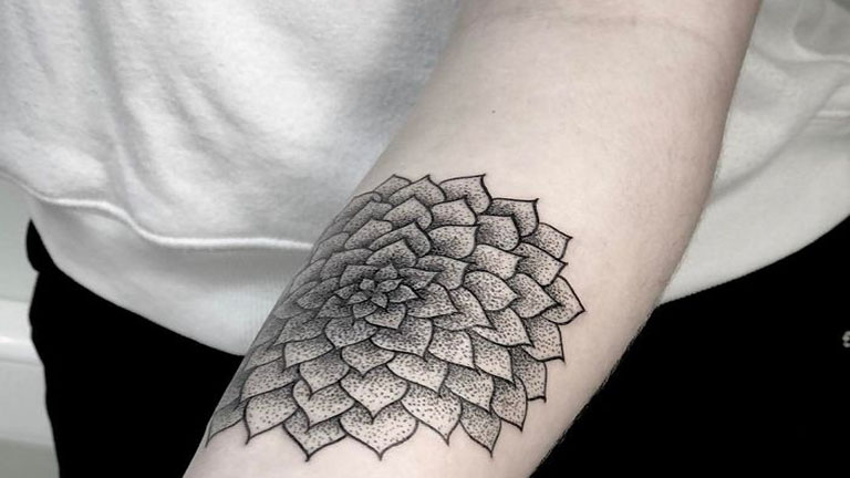 10 tetoválás azoknak, akik megőrülnek a pozsgásokért