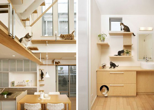 A legmenőbb macskabarát lakások