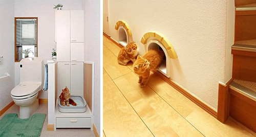 A legmenőbb macskabarát lakások