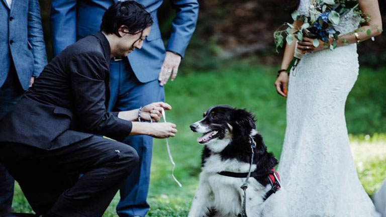 Háromlábú kutyus volt a gyűrűhordó gazdái esküvőjén 