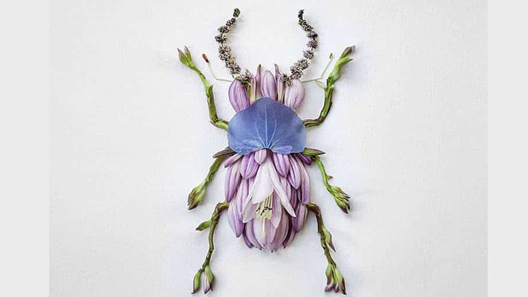 A bogarak is sokkal szebbek, ha virágokból rakják ki őket