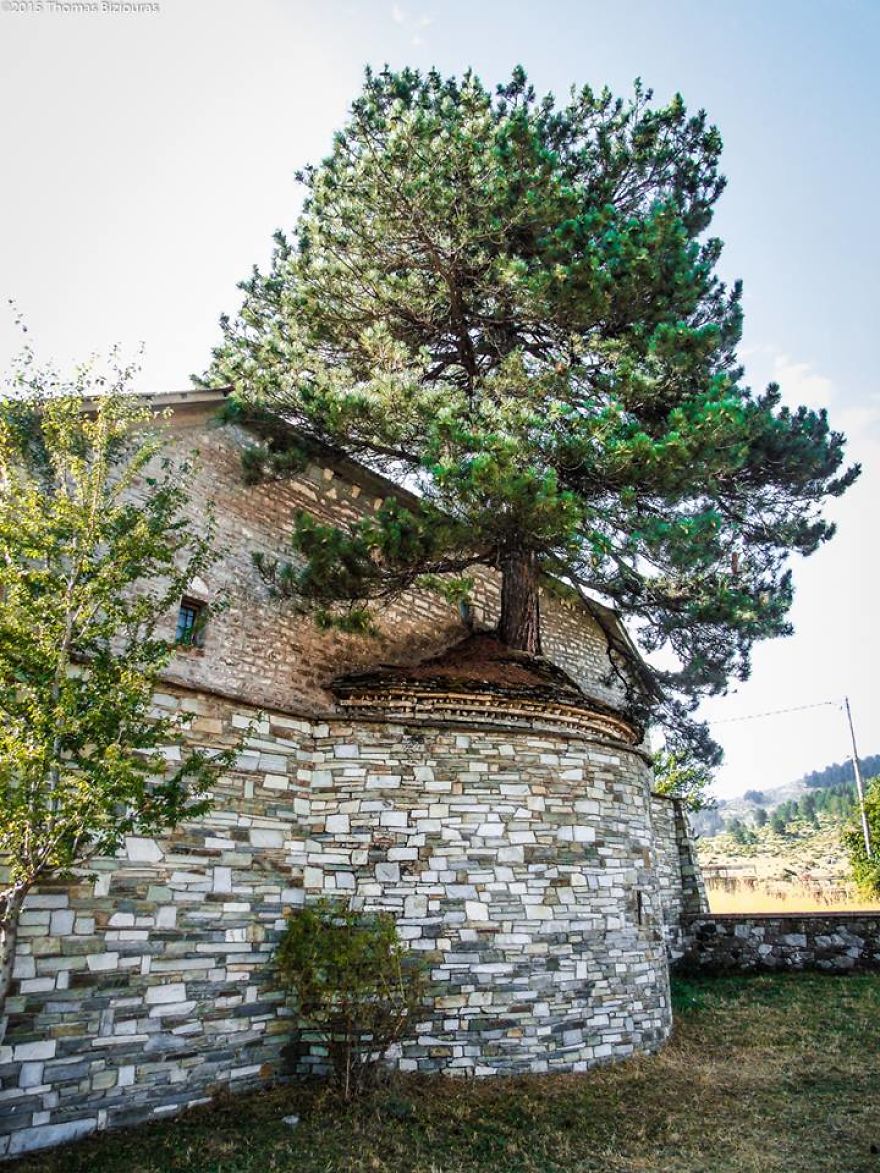 Elképesztő: százéves fa kanyarog ki a görög templomból