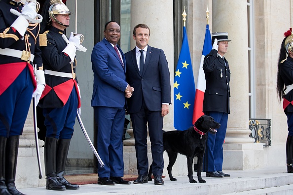 Egy pillanatra sem téveszti szem elől gazdiját Franciaország első kutyája