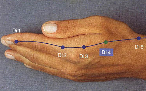 A Vastagbél 4-es pont (a képen Di-4) a kézháton, a hüvelykujj és a mutatóujj kézközépcsontjai között található