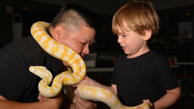 Ausztrál gyerek kígyóval (fotó: AFP / Peter Parks)