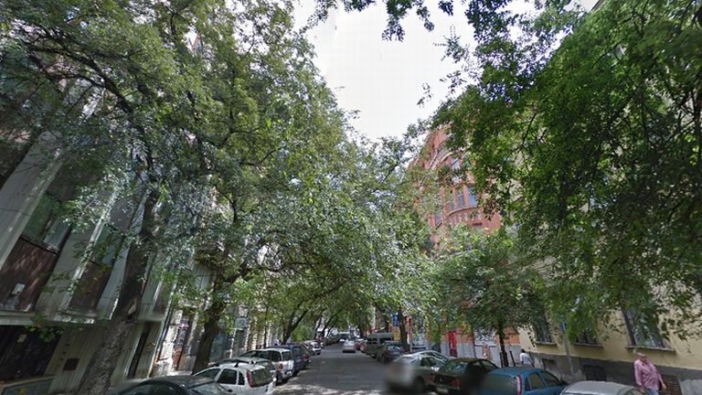 semmelweis utca, fák (forrás: Google Street View)