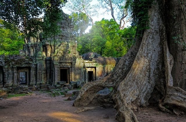 Ta Phrom Angkor fa termeszet