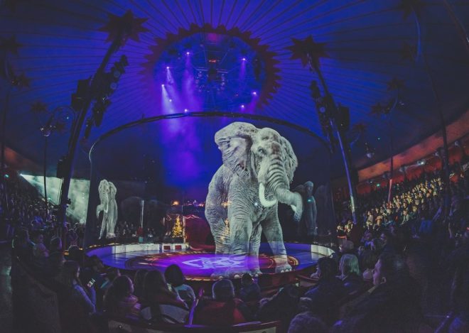 hologram állatok roncalli cirkusz