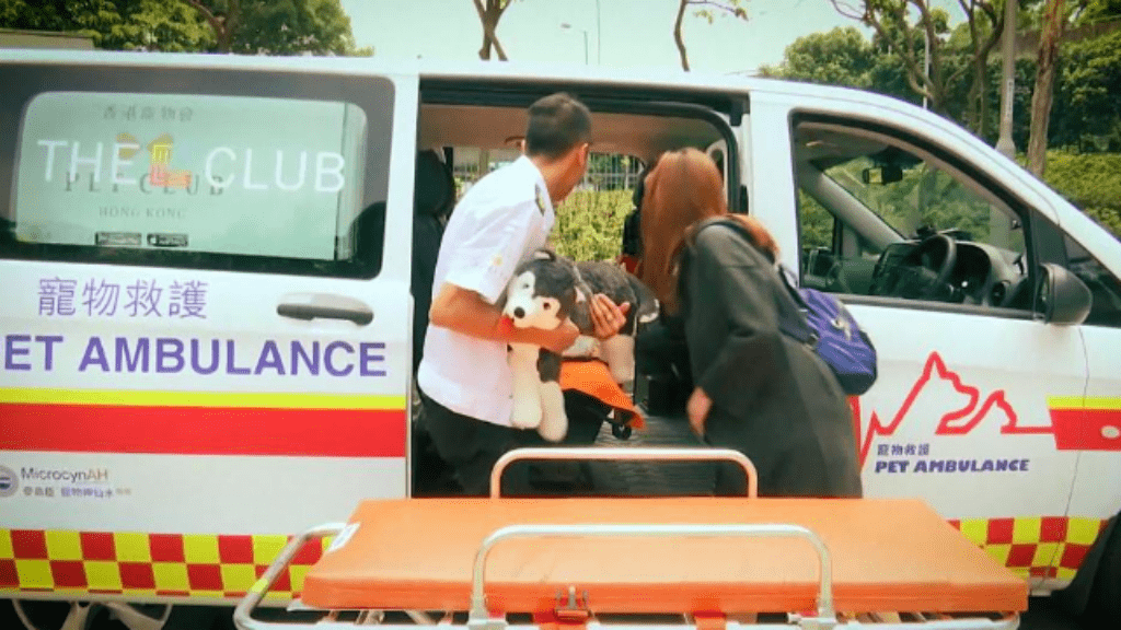 mentőszolgálat kisállat hongkong