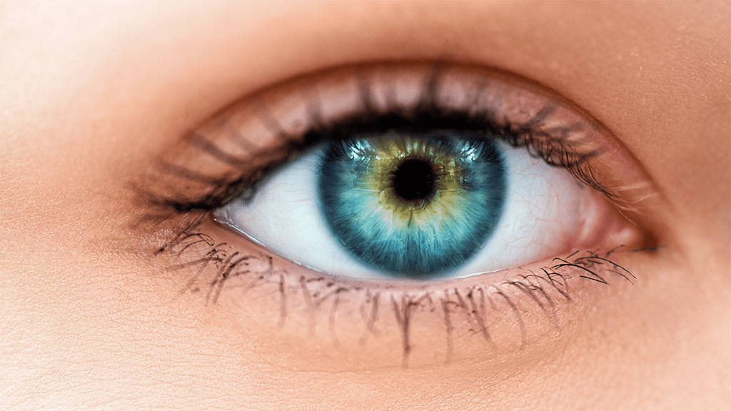 látásbetegség és kezelés myopia következik be