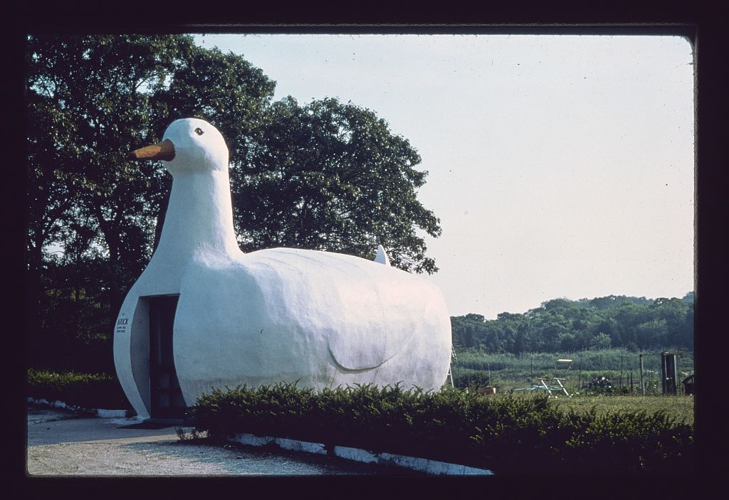 Long Island-i kacsa, Long Island, New York, 1976
