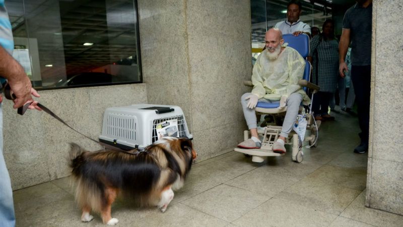 kutya kórház látogatás
