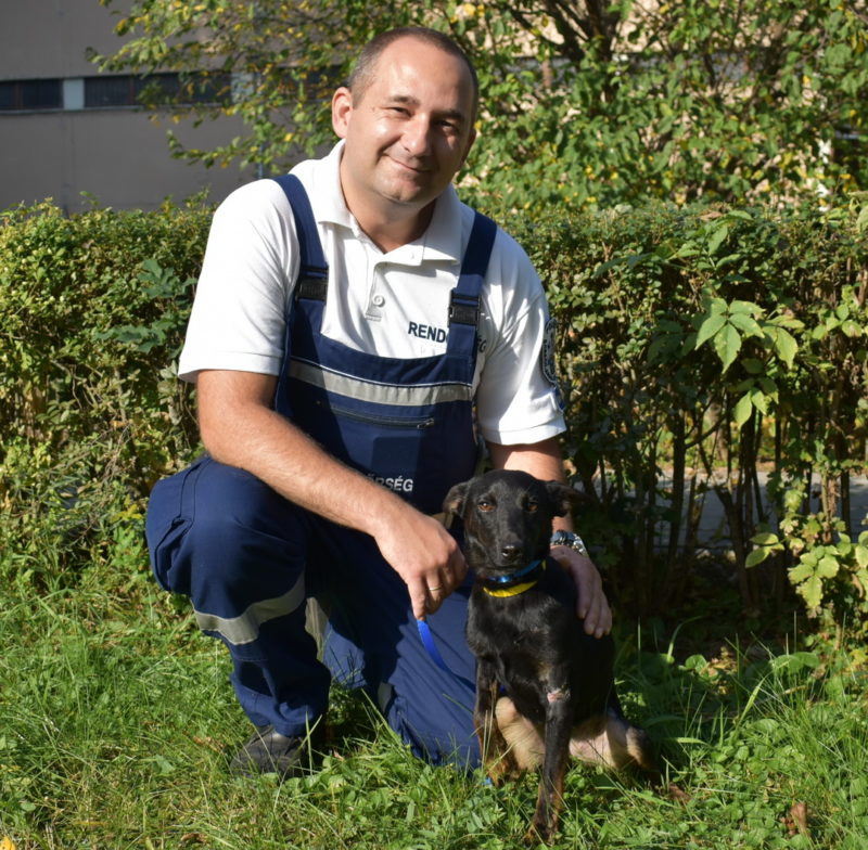 kutya örökbefogadas rendőr