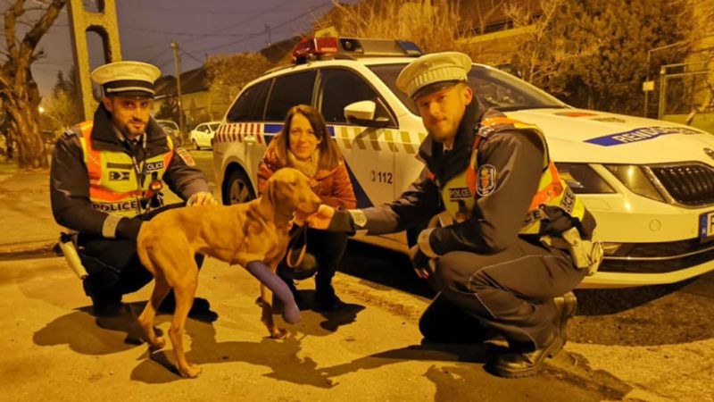állatmentés kutya rendőrség
