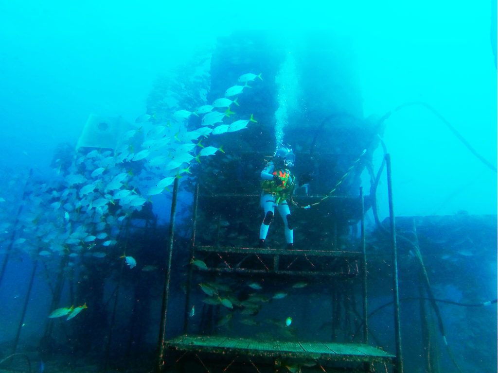 Dr. Ari Csilla a felszín alatt 20 méterrel található Aquarius kutatóállomás "tornácán" (Fotó: csillaari.com)