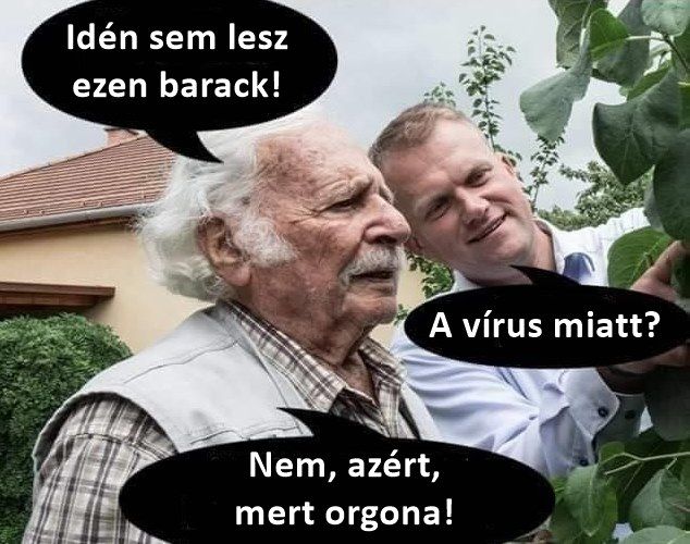 Bálint gazda mémesült, és a te napodat is bearanyozza, he meglátod, miről van szó