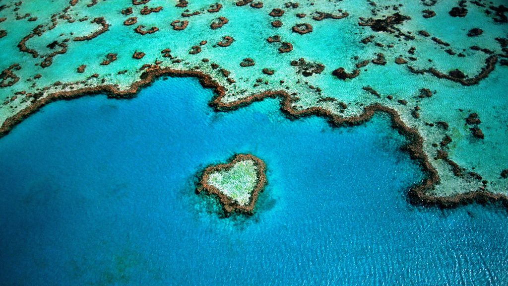 nagy korallzátony fehéredés klímaváltozás kutatás