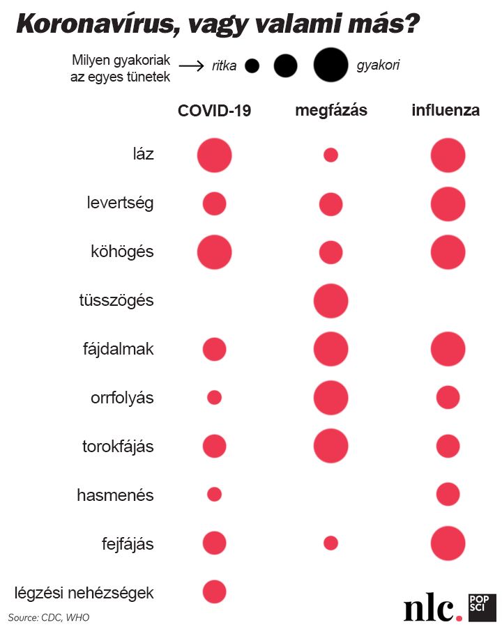 A koronavírus tünetei – alapinfók mindenkinek