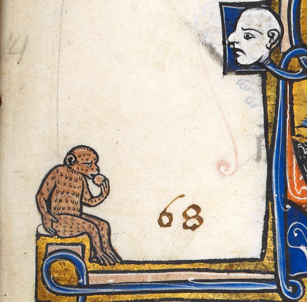 Szomorú középkori majom (forrás: deanky.tumblr.com)