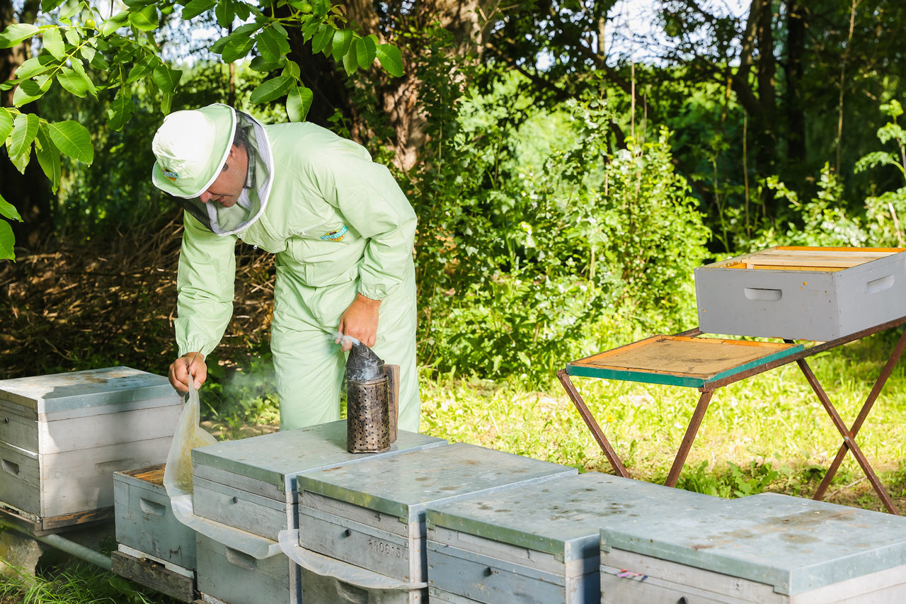 Nem csak a méhek, a méhészek is rengeteget dolgoznak - Fotó: www.mezmuzeum.hu