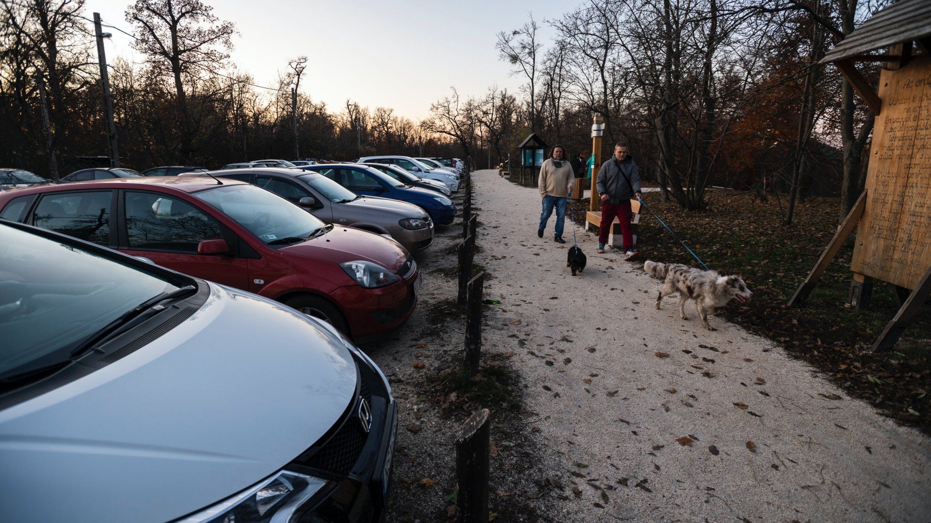 A jelenlegi murvás parkoló a Normafa Síház mellett 2019. november 18-án (Fotó: MTI/Mónus Márton)