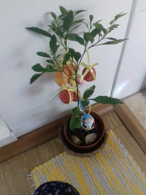 Húsvéti dekoráció növényből