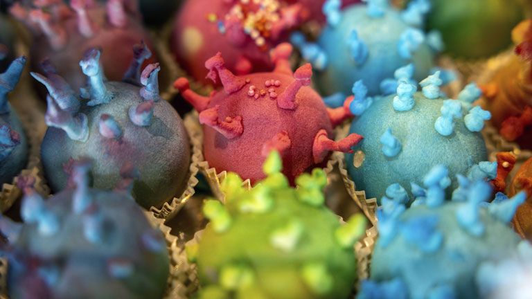 Az új koronavírus mikroszkópikus képe alapján megformázott bonbonok egy erfurti cukrászdában, Fotó: MTI/AP/dpa/Michael Reichel