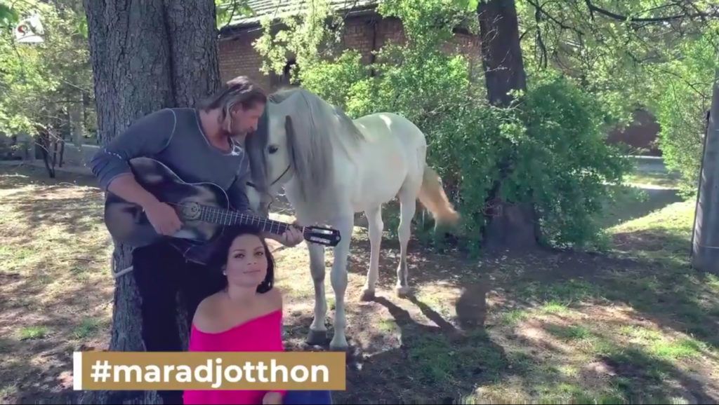 Pintér Tibor és Ilyés Jenifer házi videójéban a ló is szerepel