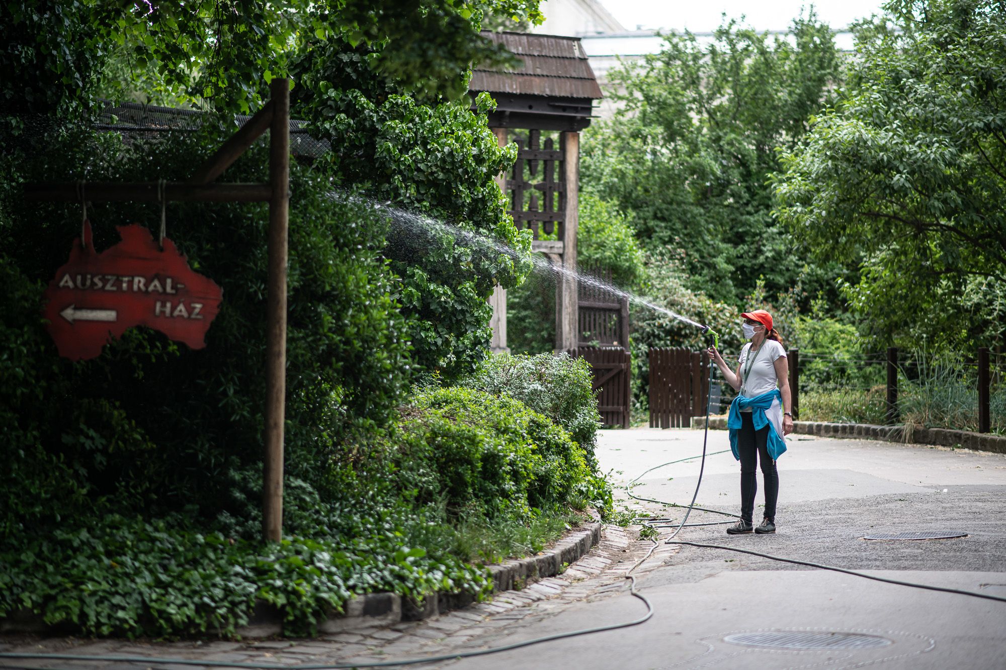 Karbantartás a járvány miatt üres Budapesti Állat- és Növénykertben