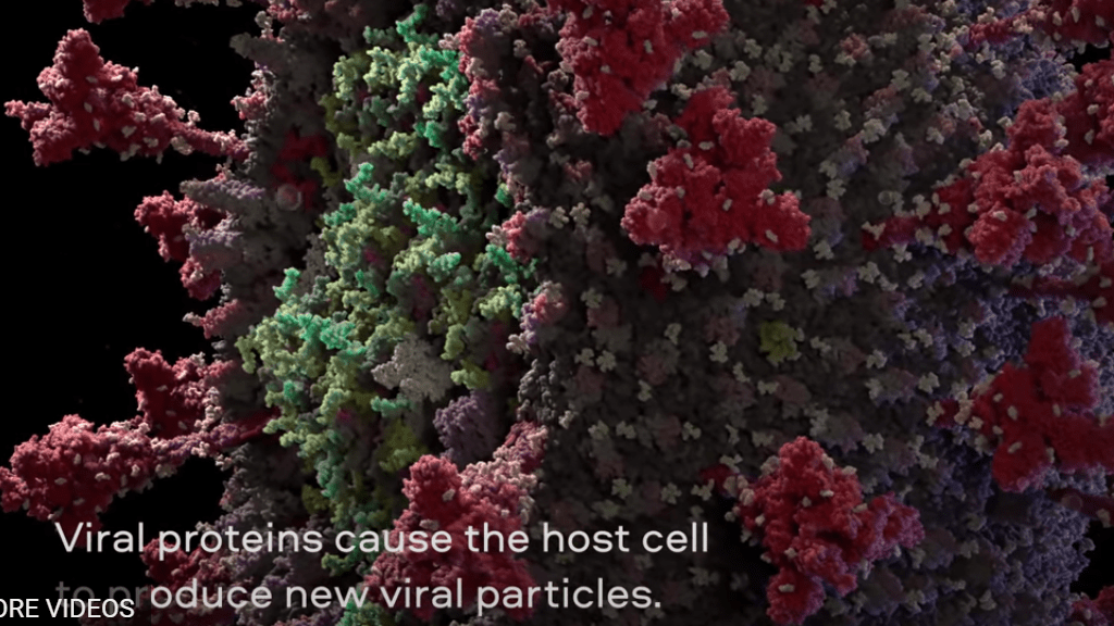 Akár korallzátony is lehetne, de valójában ez a koronavírus szerkezete.
