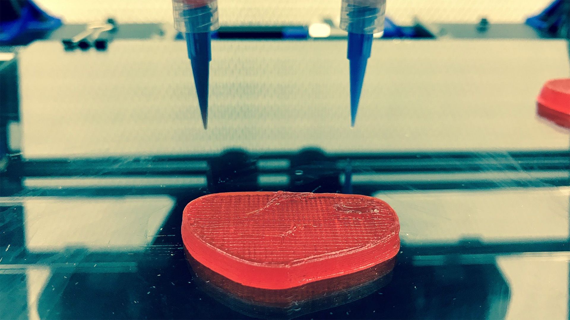 A Novameat különleges 3D-nyomtatókkal hozza létre a növényi alapú hússzeleteket