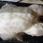 A tökéletes grillcsirke egy kiló sóval készül
