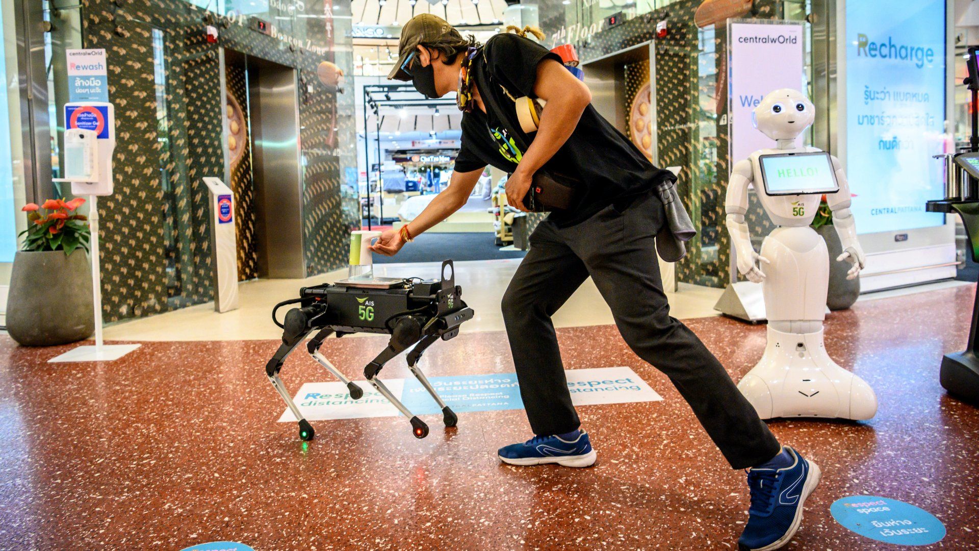 Robotkutya vigyáz a bevásárlóközpont látogatóira – videó