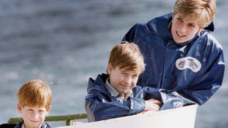 Vilmos herceg, Harry herceg és édesanyjuk Diana