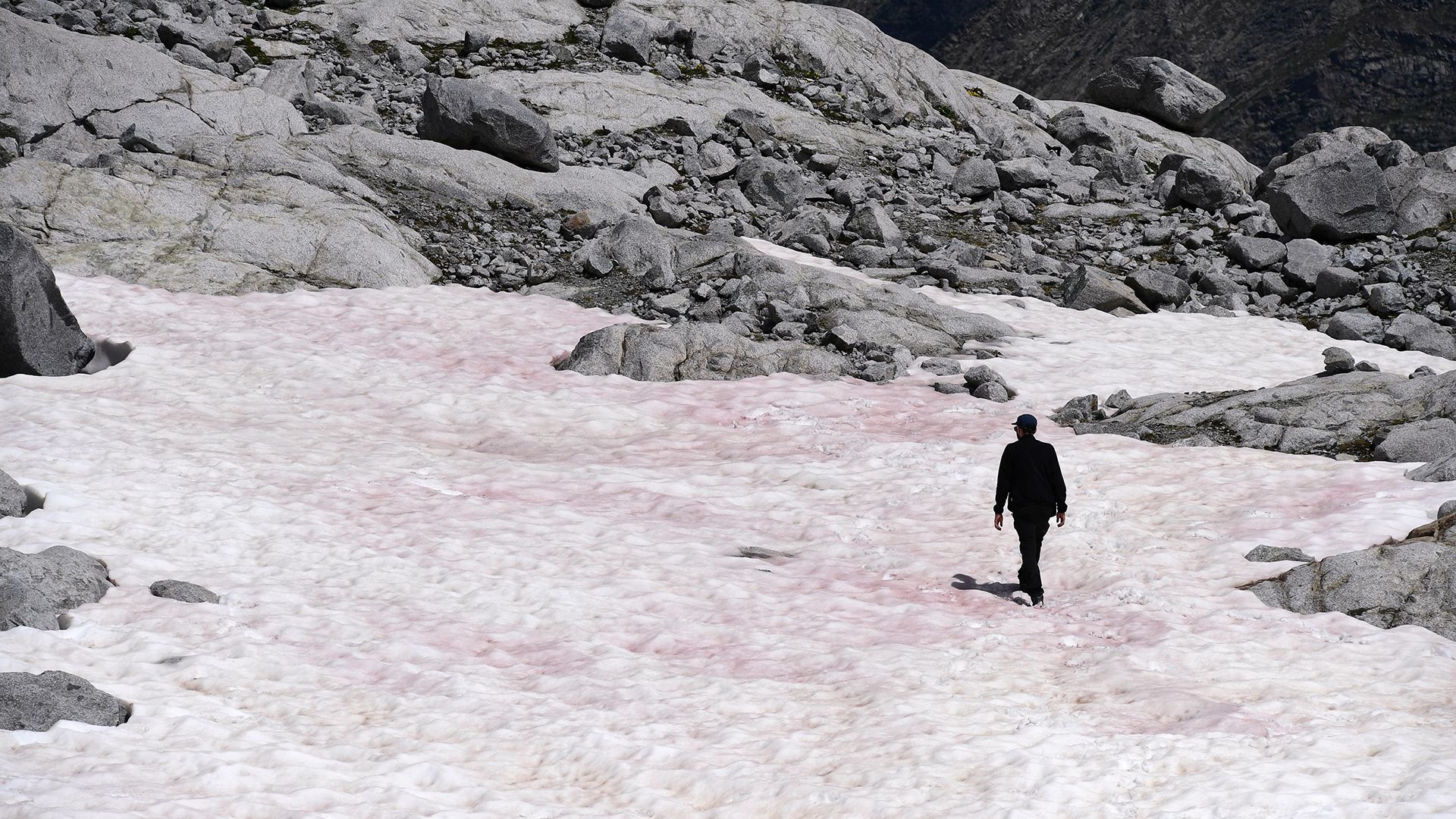 Rózsaszínű lett egy olasz gleccser hava