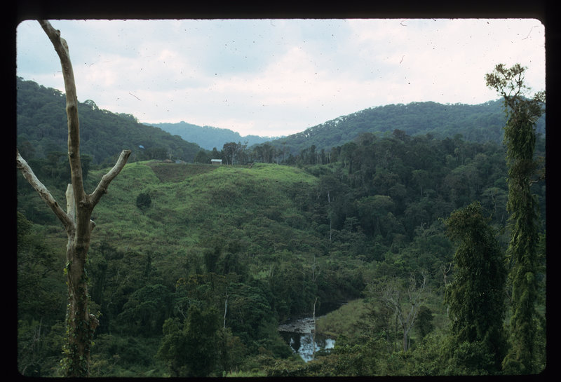 Anthropologists Renato and Shelly Rosaldo lived in the Philippines with the Ilongot, an isolated tribe in the rain forest. They were based here, in a settlement of Kakidugen, from 1967 to 1969 and in 1974.
