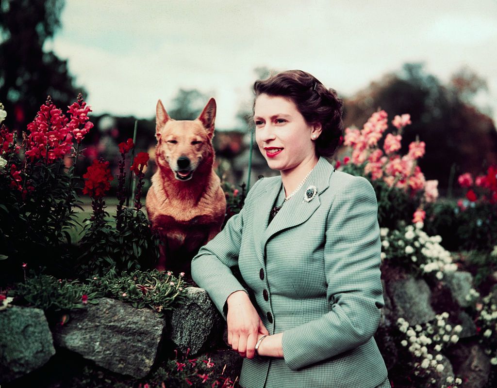 A fiatal királynő, 1952 szeptemberében