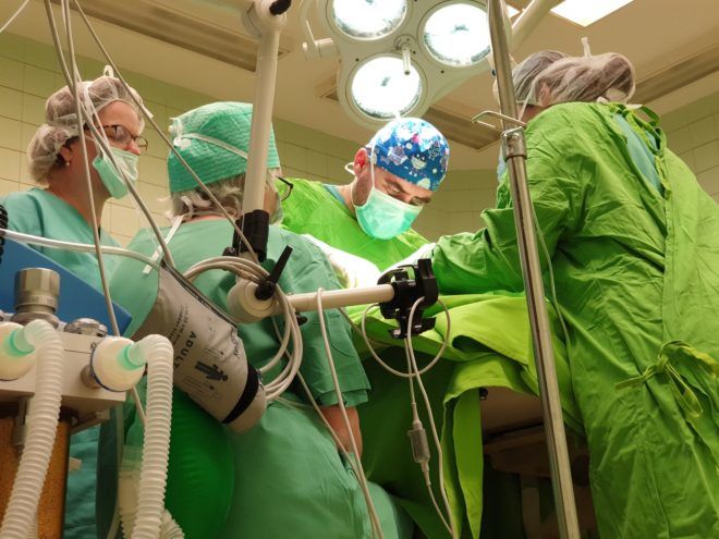 Dr. Kőnig Róbert gyermeksebész műtét közben (Fotó: Mellik Éva)