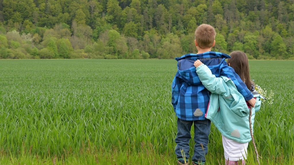 Kullancs elleni FSME-oltás