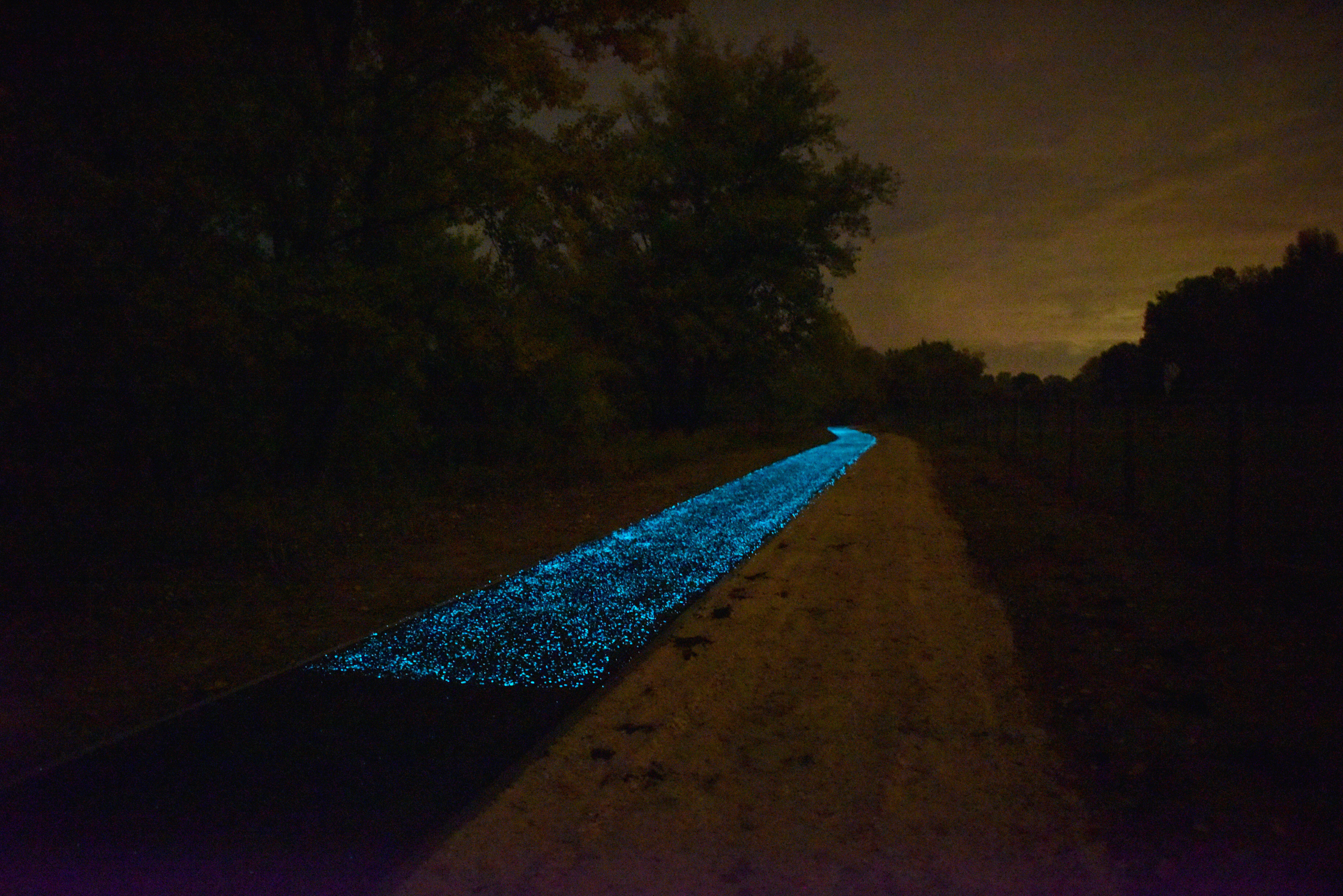 Sötétben világít a kerékpárút (fotó: MTI)